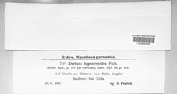 Image Associated With the Occurence